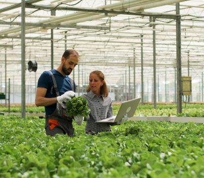 Service-Related Industries
